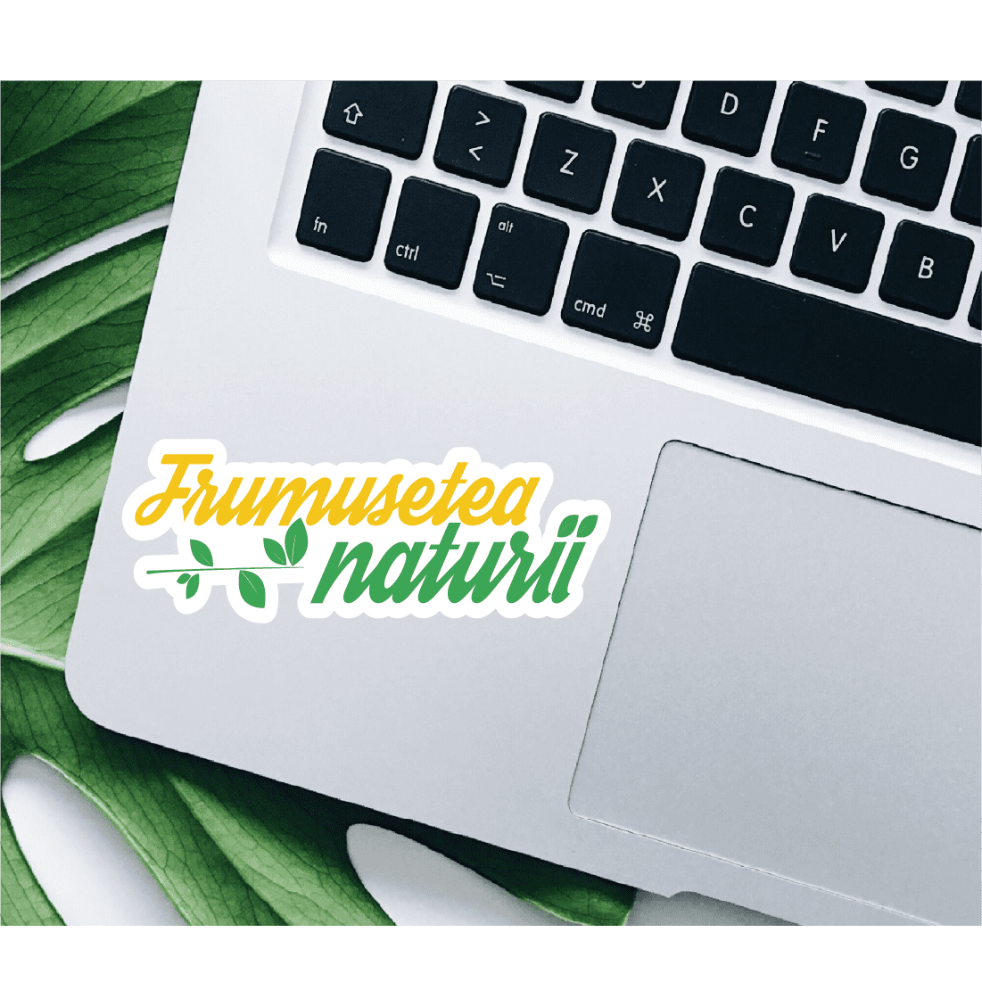 Sticker Decorativ Frumusețea Naturii | Sticker Printat | Sticker Colorat | Sticker Text